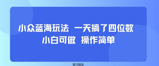 小众蓝海玩法 一天搞了四位数 小白可做 操作简单-稳盈网资源分享稳盈网