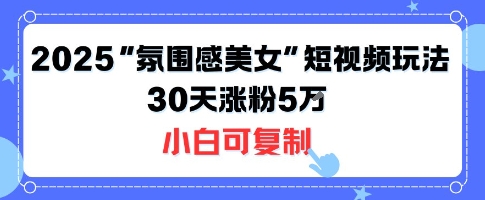 不露脸也能火！2025“氛围感美女”短视频玩法，30天涨粉5W小白可复制-优加资源分享优加网创