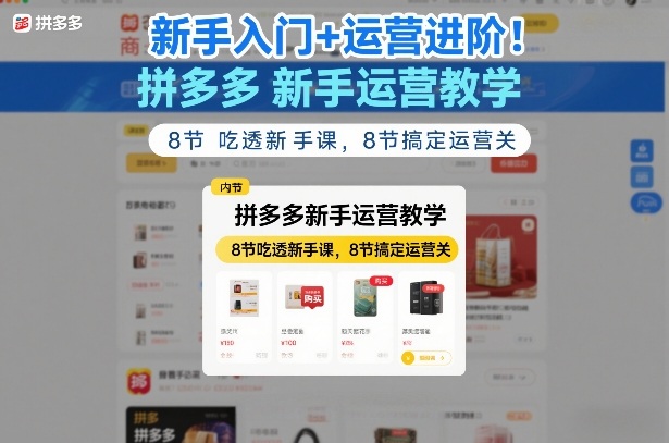 新手入门+运营进阶！拼多多新手运营教学，8节吃透新手课，8节搞定运营关-创云资源分享创云网创