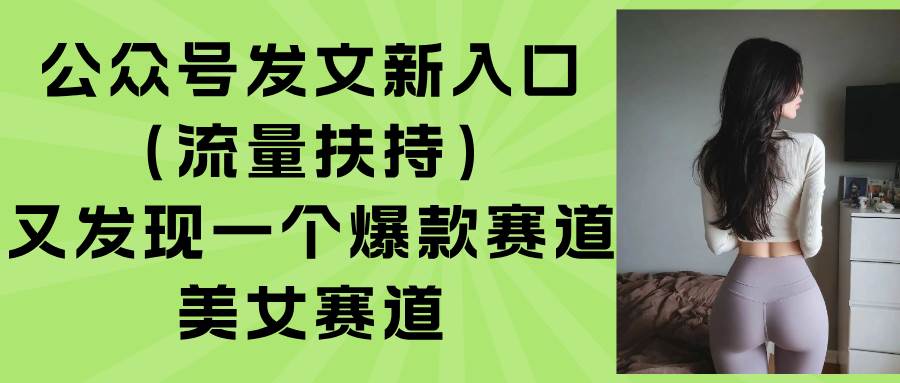 （15781期）公众号发文新入口（流量扶持），又发现一个爆款赛道：美女赛道-稳盈网资源分享稳盈网