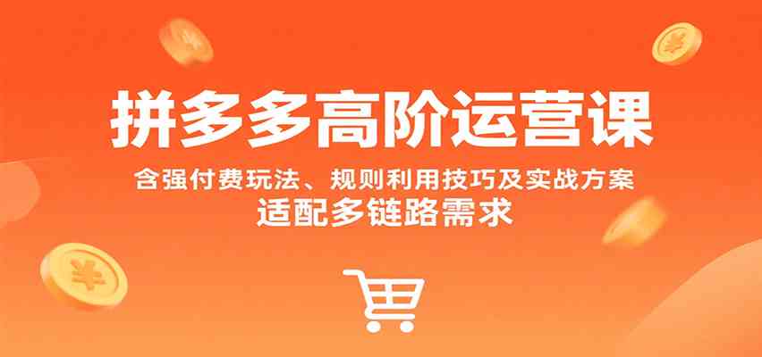拼多多高阶运营课，含强付费玩法、规则利用技巧及实战方案，适配多链路需求-优加资源分享优加网创