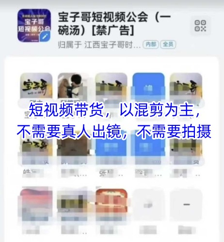 宝子哥头部团队短视频带货，以混剪为主，不需要真人出镜，不需要拍摄【更新8月】-优加资源分享优加网创