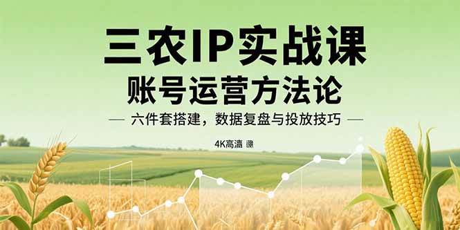 （15864期）三农IP实战课：账号运营方法论，六件套搭建，数据复盘与投放技巧-优加资源分享优加网创