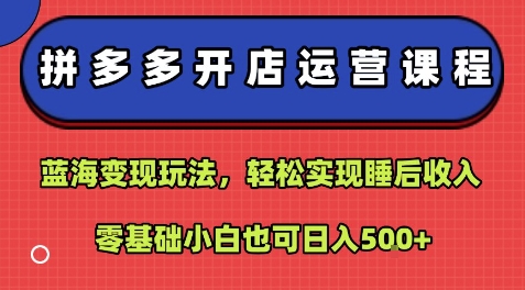 拼多多开店运营课程：蓝海变现玩法，轻松实现睡后收入，零基础小白也可日入5张-稳盈网资源分享稳盈网