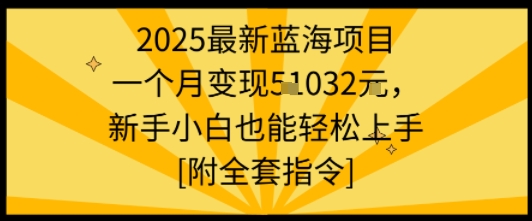 2025最新蓝海项目一个月变现1w+新手小白也能轻松上手【附全套指令】-优加资源分享优加网创