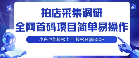 拍店采集调研，全网首码项目，简单易操作， 小白也能轻松上手，多账号操作，轻松日入5张【揭秘】-创云资源分享创云网创