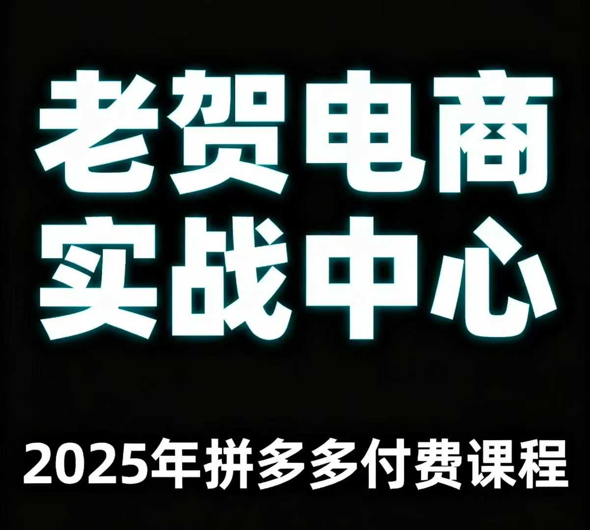 老贺电商2025年拼多多付费课程，用通俗易懂的方法告诉你多多怎么玩-稳盈网资源分享稳盈网