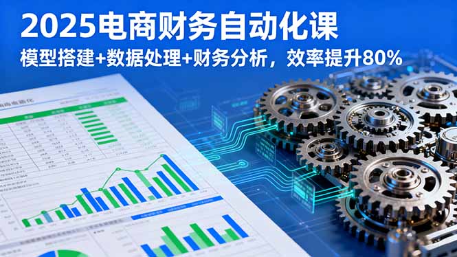 2025电商财务自动化课，模型搭建+数据处理+财务分析，效率提升80%-创云资源分享创云网创