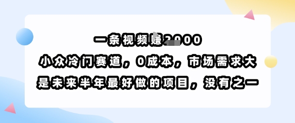 一条视频挣1k，小众冷门赛道，0成本，市场需求大，是未来半年最好做的项目，没有之一-稳盈网资源分享稳盈网